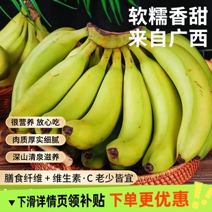 正宗广西高山大香蕉当季新鲜水果青皮香蕉现摘香甜需催熟甜蕉包邮