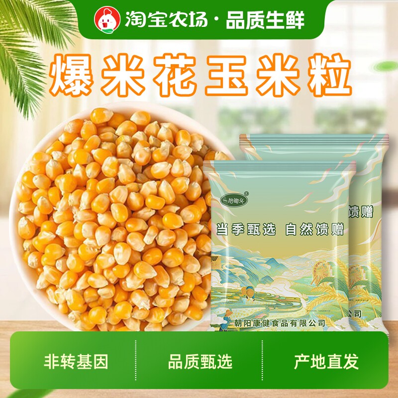 球形爆米花专用玉米粒东北农家自己爆苞米粒原料商用家用批发解馋