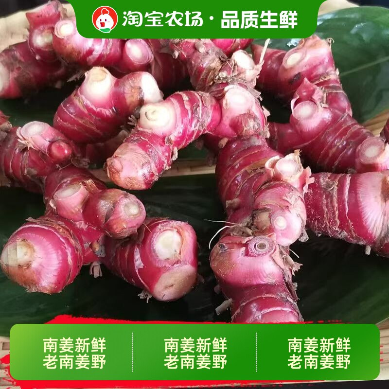 正宗潮汕南姜新鲜老野生山姜牛羊肉火锅卤味去膻配料调味煲汤生姜
