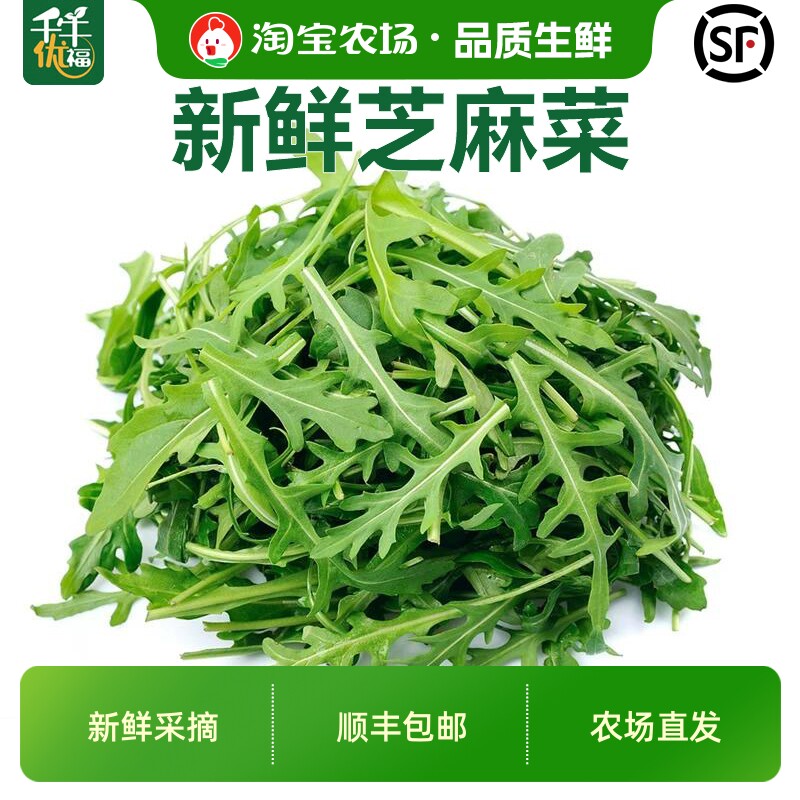 芝麻菜新鲜250g-1500g 蔬菜西餐凉拌沙拉食材 生菜西餐食材火箭菜