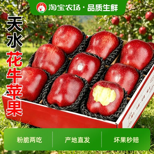 2026新正宗甘肃天水花牛苹果产地直销应季新鲜特产水果农家自种