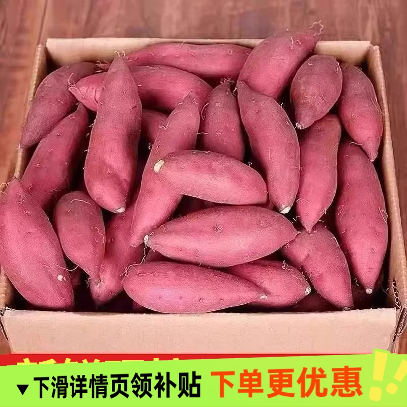 新鲜沙地蜜薯板栗红薯糖心地瓜番薯山芋农家自种现挖龙九黄心红薯