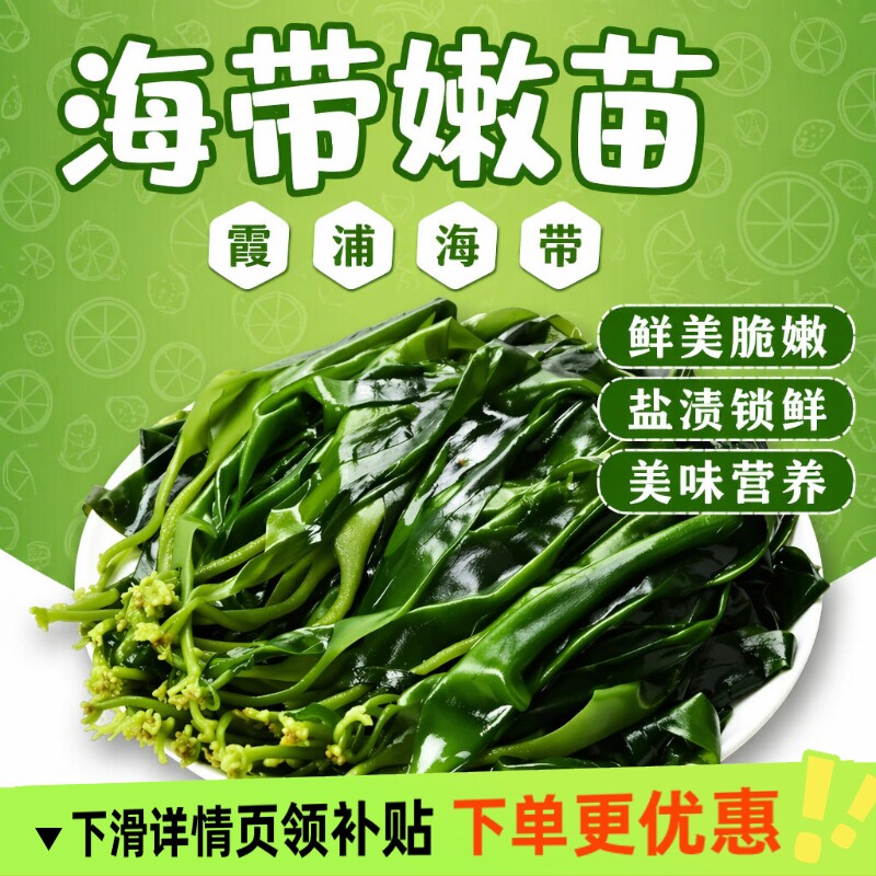 鲜海带苗嫩海带商用霞浦新鲜盐渍小海火锅食材丰富美味凉拌煲汤图片