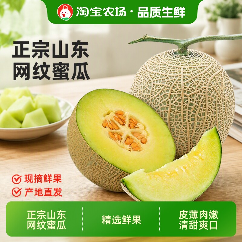 山东特产玫珑网纹蜜瓜 正宗冰淇淋甜瓜孕妇当季新鲜水果整箱
