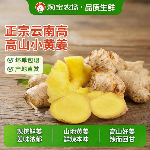 云南小黄姜红芽嫩姜现挖新鲜鲜泡仔姜生姜农家香辣泡醋姜2025新姜