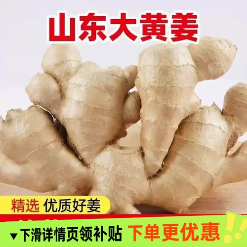 正宗山东大姜老姜风干新鲜农家生姜月子干姜种植姜块大黄姜食用