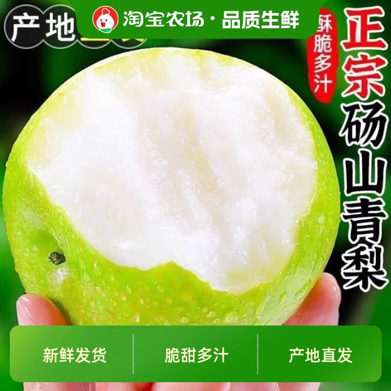 2026年正宗砀山梨皇冠梨青皮梨现摘脆甜蜜梨整箱包邮梨子新鲜直发图片