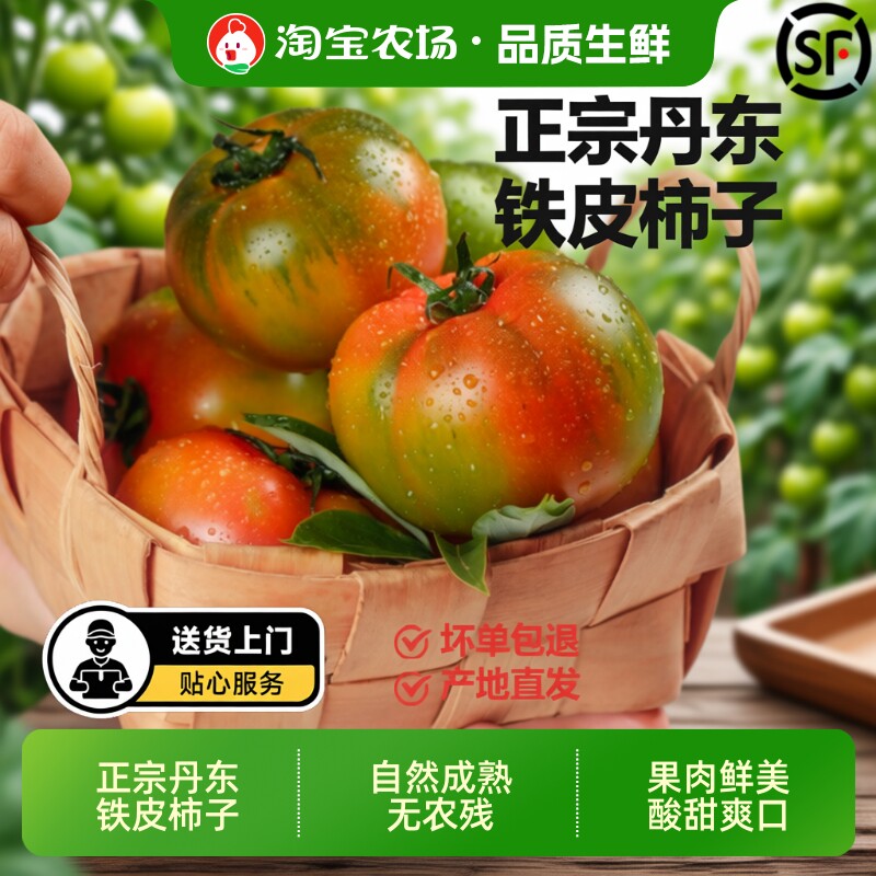 铁皮柿子东北碱地草莓西红柿水果自家种生吃蔬菜顺丰现摘正宗农场