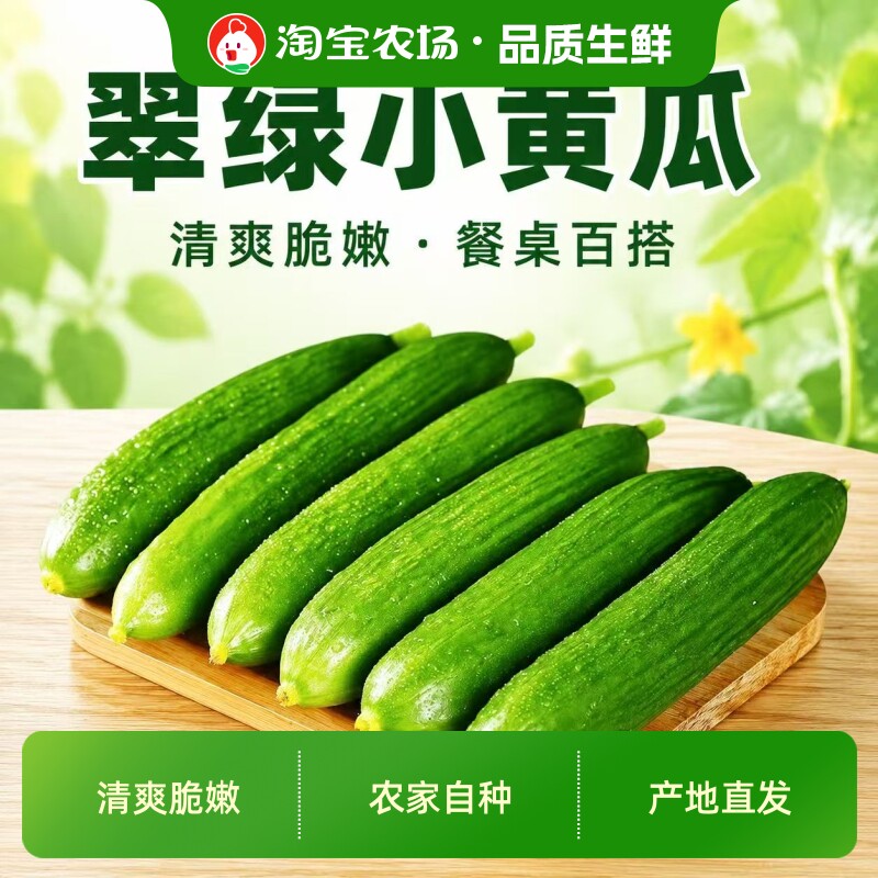 新鲜水果小黄瓜脆嫩水果黄瓜时令果蔬现摘应季蔬菜即食农场直发