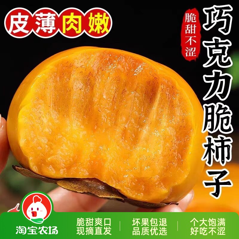 新鲜阳丰脆柿正宗巧克力脆柿子冰糖心甜脆水果当季柿子农场脆甜
