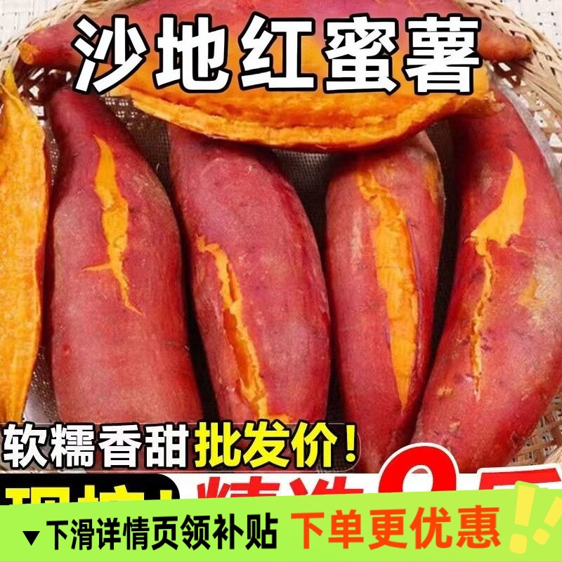 甄选 26年现挖超甜蜜薯新鲜红心红薯沙地地瓜山芋正宗红薯软糯香