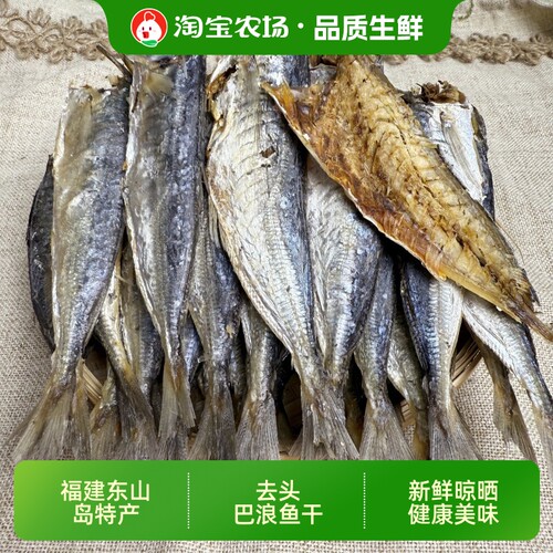 福建东山岛去头巴浪鱼干特产新鲜晾晒煲汤炒菜营养高好吃美味干货