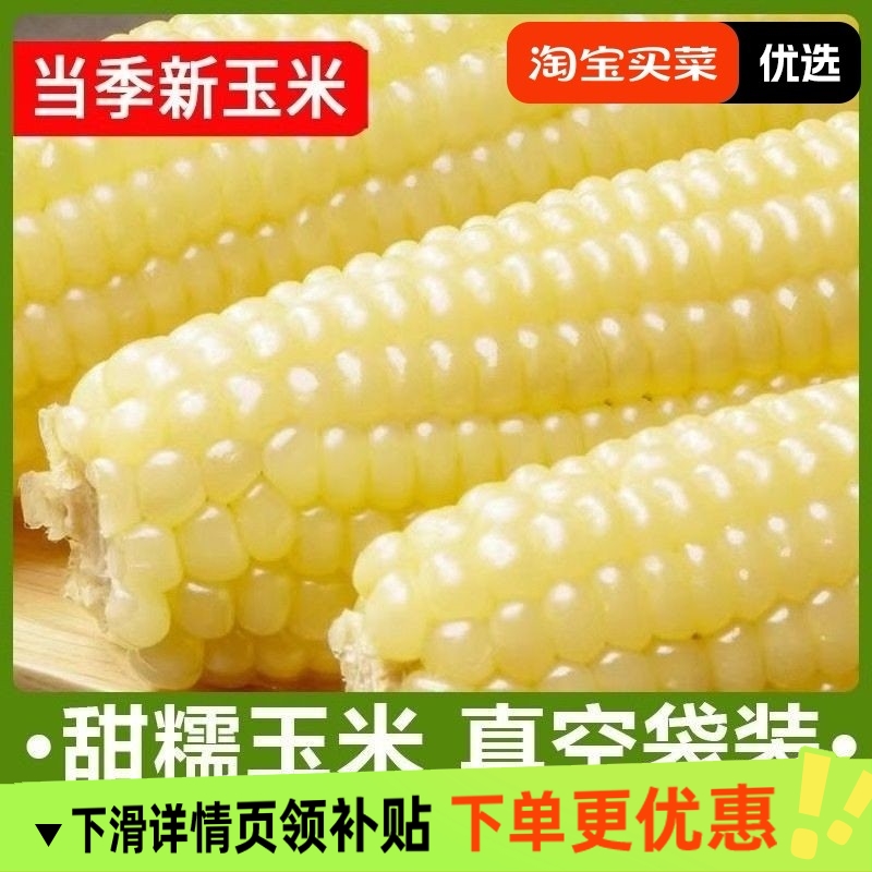 东北白糯玉米甜糯粘玉米棒真空包装黏玉米新鲜粗粮代餐非即食玉米