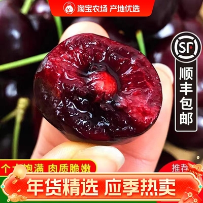 现货进口智利车厘子顺丰包邮特大超甜空运新鲜孕妇樱桃水果礼盒