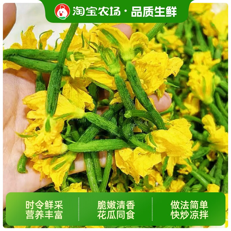 新鲜小黄瓜花小青瓜花小乳瓜特菜黄瓜花蔬菜应季青脆时令农场