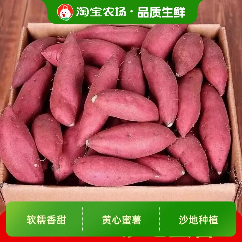 蜜薯新鲜红薯农家香甜薯板栗黄心烤地瓜糖心小番薯山芋沙地甜蜜图片