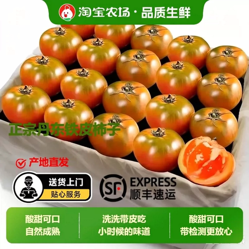 顺丰碱地柿子新鲜东北水果番茄丹东铁皮柿子西红柿整箱包邮多规格