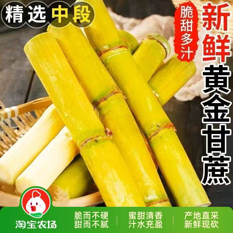 云南本地新鲜黄金甘蔗黄皮甘蔗当季特产脆甜可口皮薄手撕整箱甘蔗
