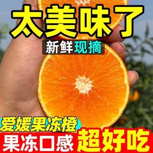 正宗四川爱媛38号果冻橙3斤装70mm+新鲜水果应当季整箱手剥甜橙