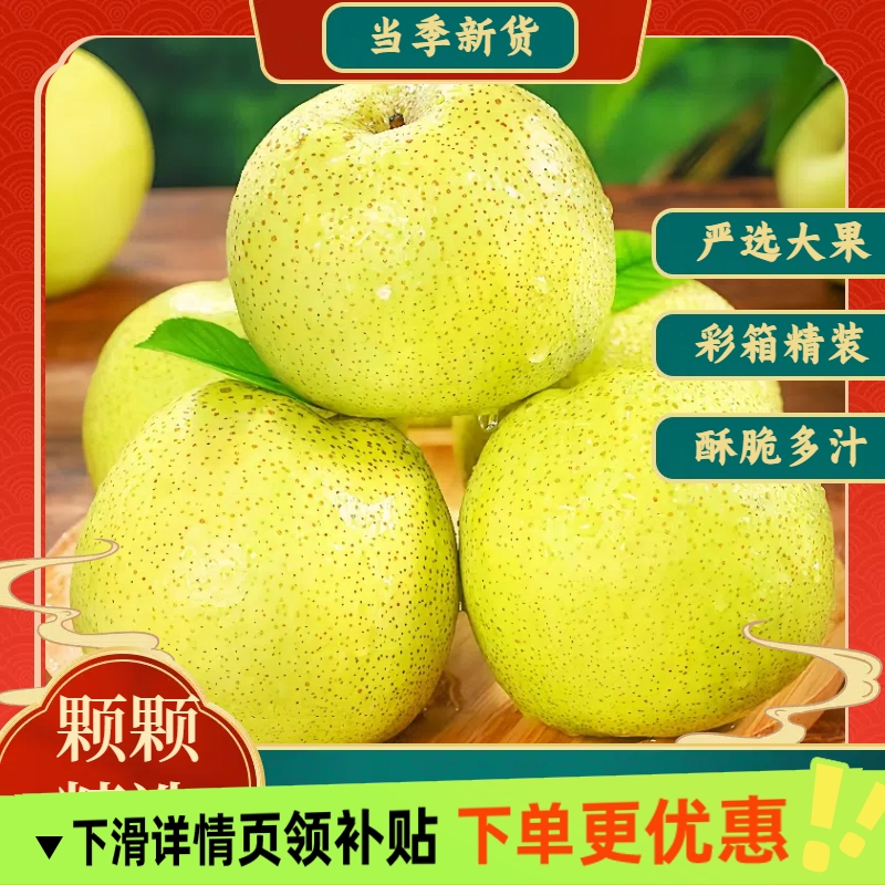 FZ3彩箱包装陕西小河酥梨脆甜现摘梨子新鲜水果梨包邮发整箱