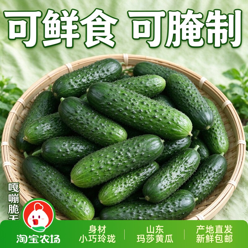 新鲜玛莎黄瓜当季农家脆嫩青黄瓜水果黄瓜生吃即食