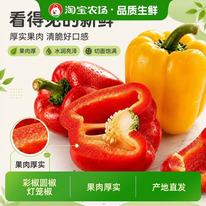 寿光圆椒彩椒五彩山东甜椒柿子蔬菜椒辣椒灯笼椒不辣太空水果新鲜