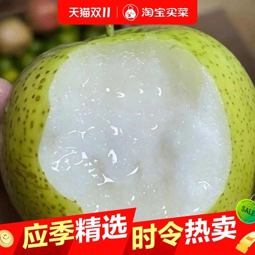 2025新梨子砀山皇冠青梨爆甜脆梨子水梨新鲜薄皮梨应季鲜果