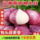 独头蒜紫皮云南2025湿蒜5斤独蒜大蒜头批发新蒜新鲜蒜头干大蒜