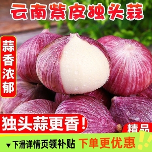 独头蒜紫皮云南2025湿蒜5斤独蒜大蒜头批发新蒜新鲜蒜头干大蒜
