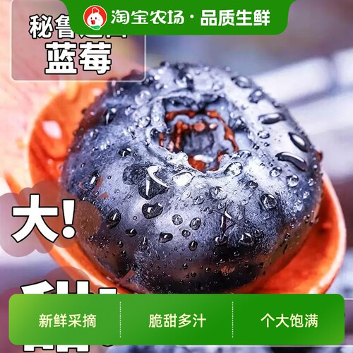 秘鲁进口蓝莓鲜果新鲜水果当季时令整箱怡颗蓝梅大果高山花香包邮