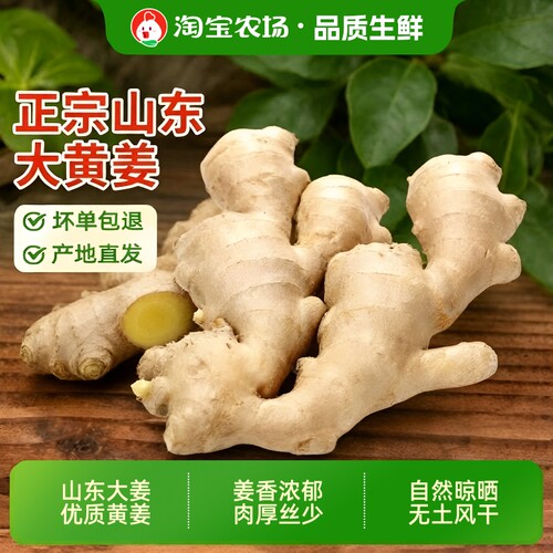 正宗山东生姜大姜老姜水洗风干大黄姜3斤/5斤新鲜农家姜自提食用