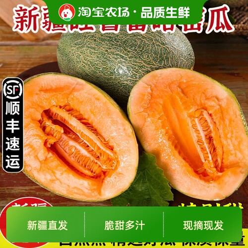 正宗新疆哈密瓜吐鲁番火焰山特级