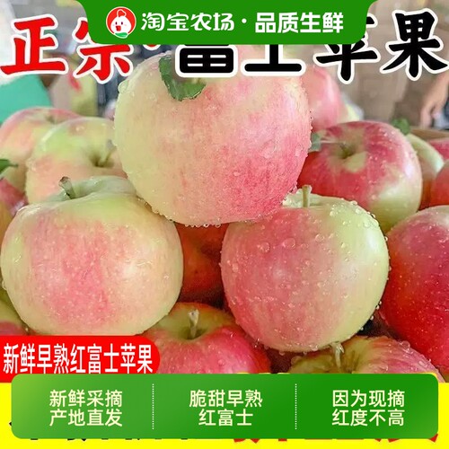 山西当季新鲜脆甜早熟苹果红富士