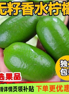 香水柠檬新鲜正宗青柠檬无籽正宗一级果应当季水果奶茶店专用