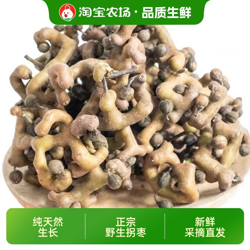 时令新鲜拐枣现摘水果生吃泡酒秦岭野生万寿果枳椇鸡爪梨金钩子