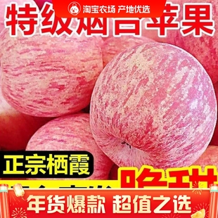 山东正宗烟台红富士苹果新鲜水果当季水果脆甜整箱优质好果批发
