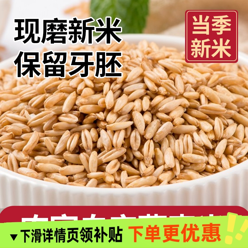 新货燕麦米农家自种今年燕麦米燕麦仁全胚芽五谷杂粮营养健康早餐