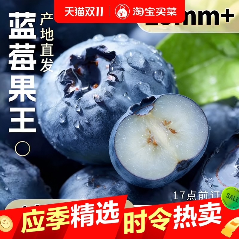 云南蓝莓王高山花香新鲜水果当季特大果25mm现摘冷链配送孕妇纯甜
