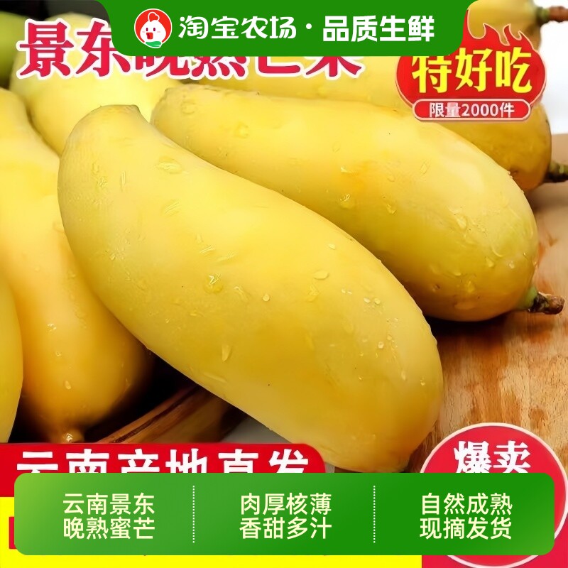 云南晚熟芒果新鲜金煌大芒果现摘当季热带水果景东直发果肉鲜果