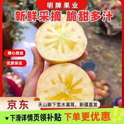 (京东包邮)新疆产地直发阿克苏苹果冰糖心苹果大果净重8斤
