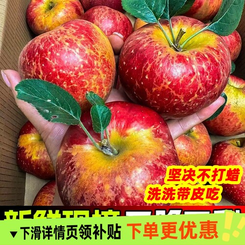 2025年正宗云南高原昭通冰糖心丑苹果脆甜新鲜水果当季整箱包邮