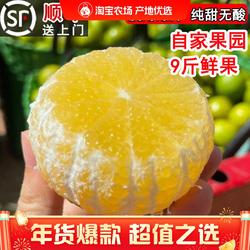 正宗德庆贡柑皇帝柑当季新鲜水果精品爆甜纯甜大果中果现摘现发