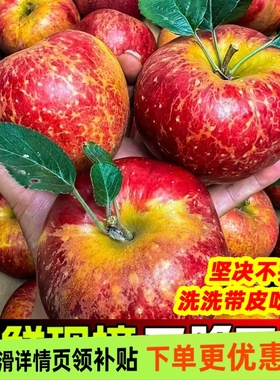 2025年正宗云南高原红露昭通冰糖心丑苹果脆甜水果新鲜苹果水果