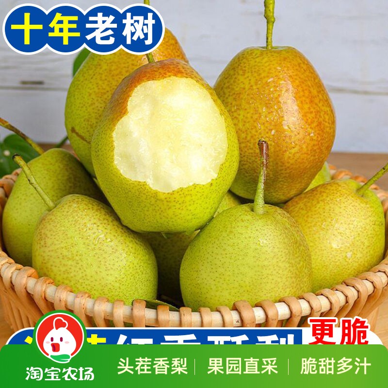 正宗山西红香酥梨当季现摘薄皮新鲜水果整箱9斤香梨包邮农场头茬
