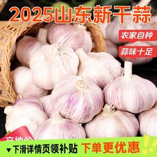 山东蒜紫皮大蒜头干蒜批发2025年新蒜头农家蒜头干大蒜新鲜紫蒜