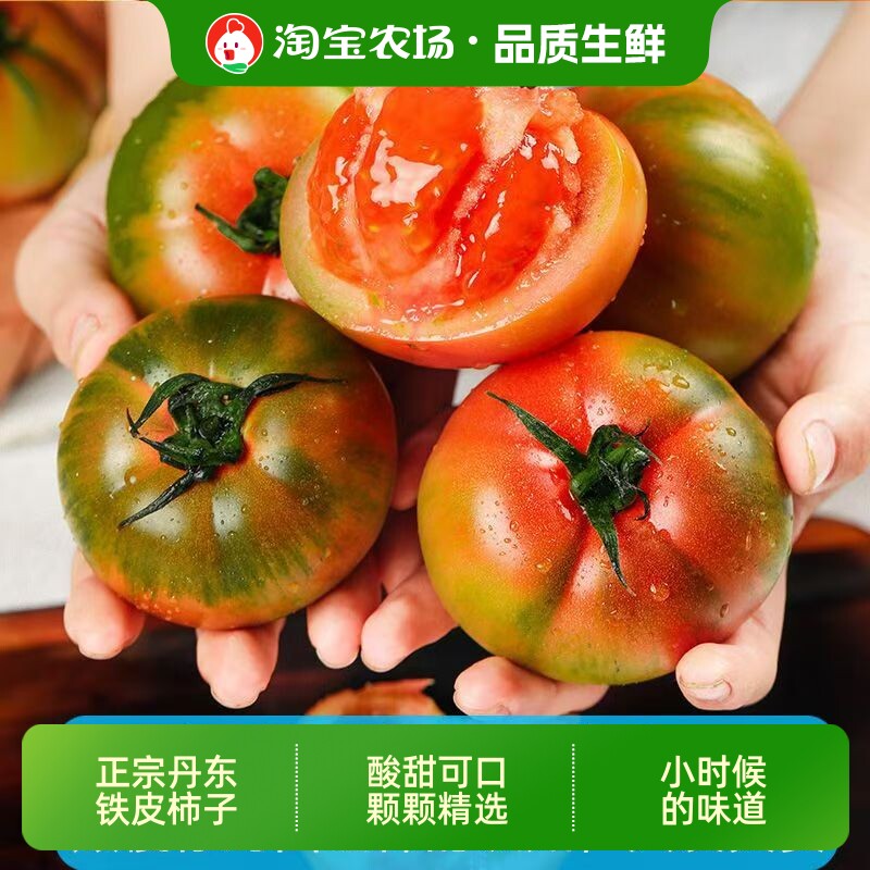 顺丰包邮东北铁皮柿子自然成熟草莓西红柿水果酸甜自家种生吃番茄