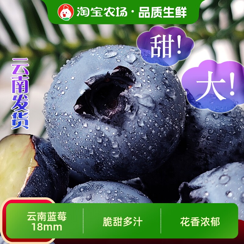 顺丰京东云南高山蓝莓鲜果新鲜水果当季怡颗L25花香甄选农场直发