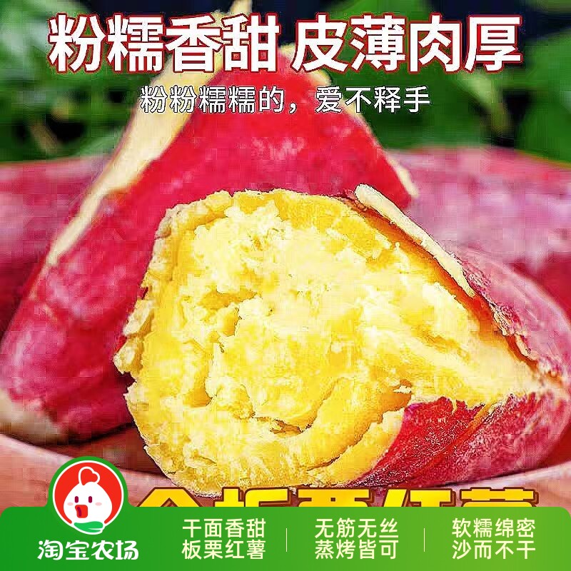 板栗红薯正宗沙地种植新鲜当季地瓜软糯农场