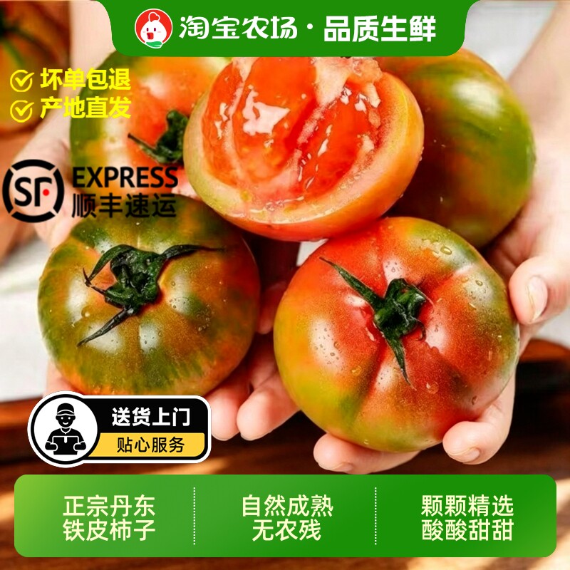 丹东草莓柿子西红柿新鲜自然熟铁皮柿子盘锦碱地生吃水果番茄顺丰
