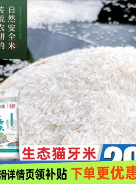 猫牙米正宗长粒香米象牙米批发价软糯香甜有机无抛光细长米煲仔饭